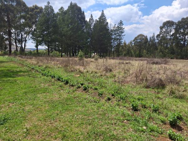 5 949 m² Land