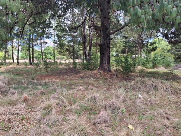 5 900 m² Land