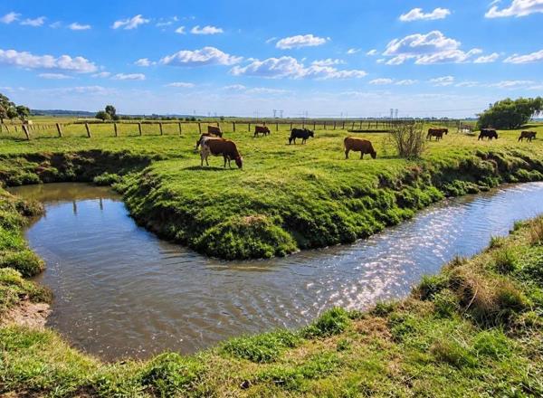 2.4 ha Farm
