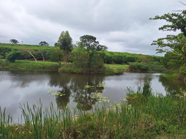 12.7 ha Farm