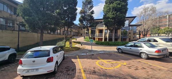 156 m² Commercial space