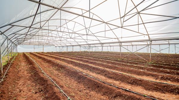 5.1 ha Smallholding