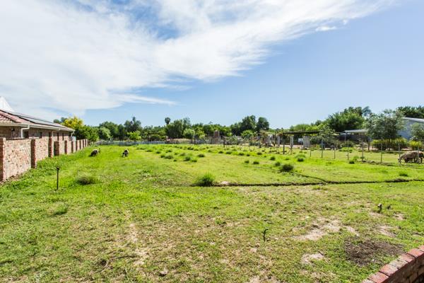 3 155 m² Land
