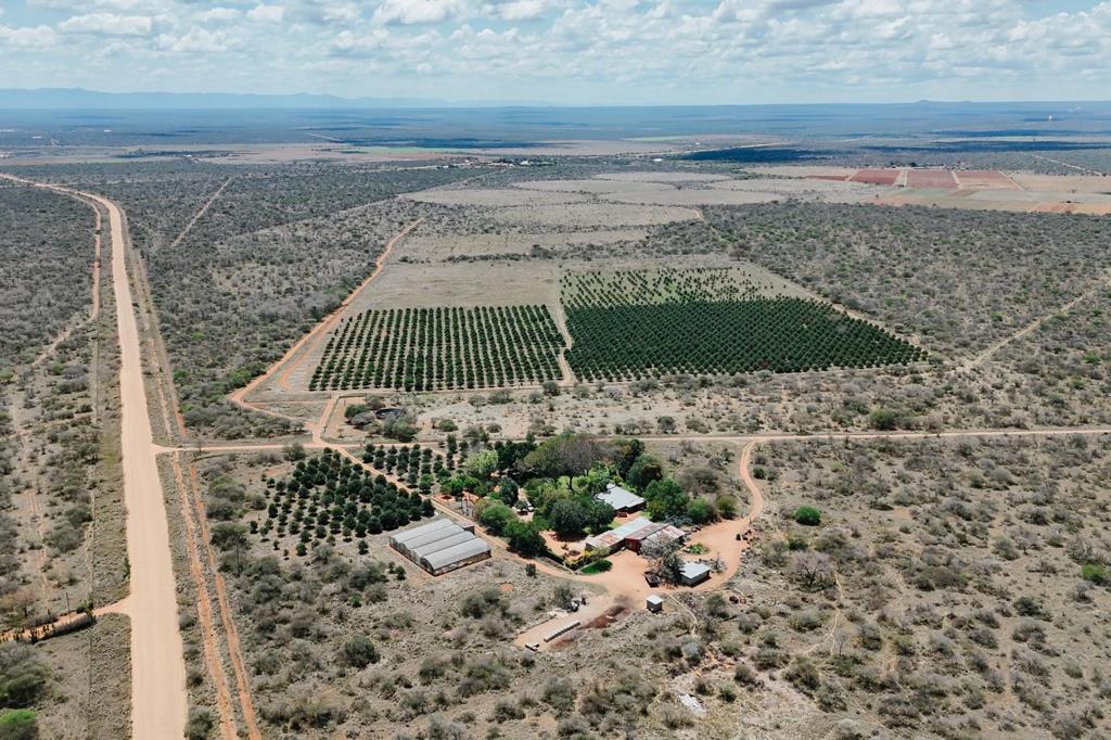 268 ha Farm