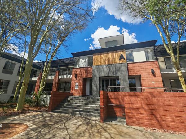 183 m² Commercial space