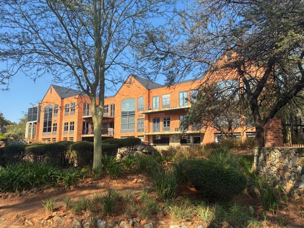 181 m² Office Space