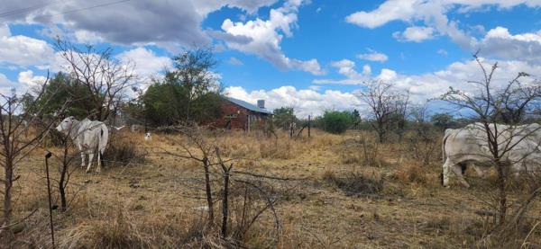 4.5 ha Farm