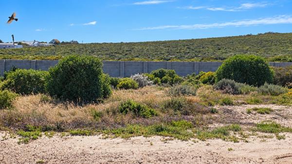 276 m² Land