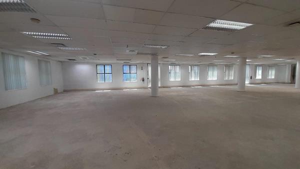 561 m² Office Space