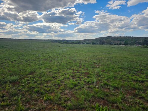 16 ha Land