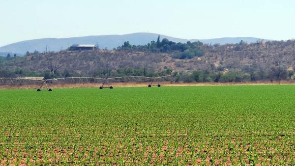 189 ha Farm