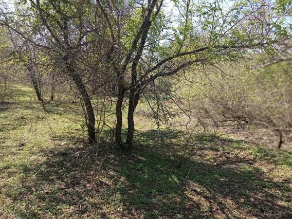 2 000 m² Land