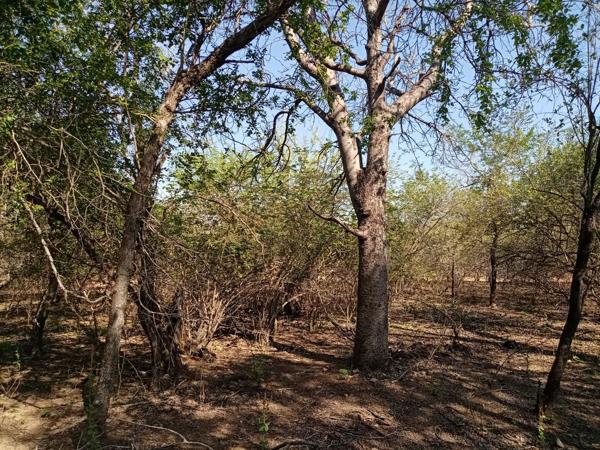 2 000 m² Land