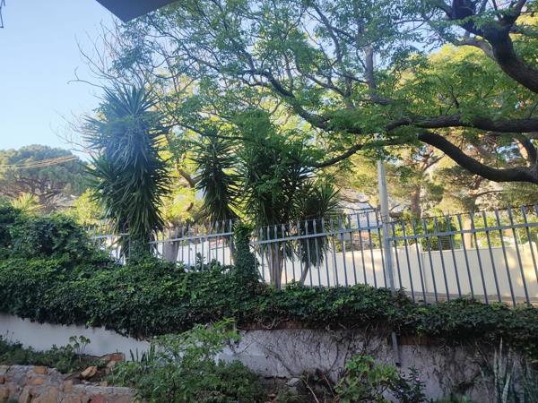 Studio apartment in Vredehoek