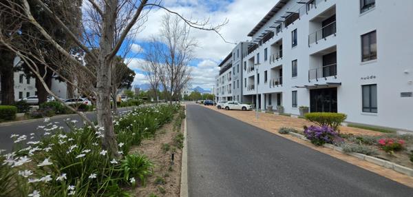 116 m² Office Space