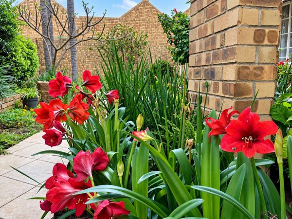3 Bedroom Townhouse