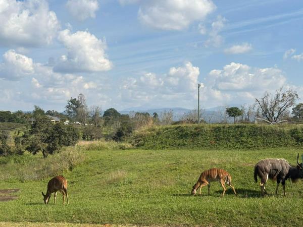5 064 m² Land