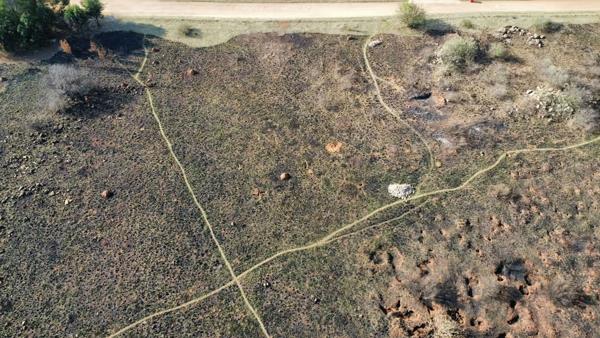 1 ha Land