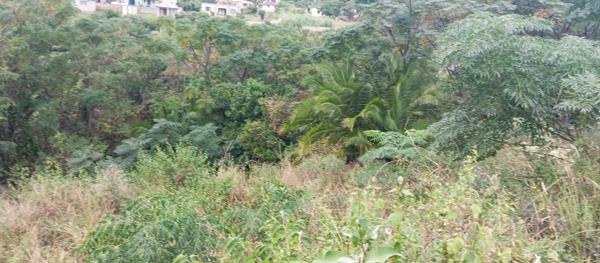 500 m² Land