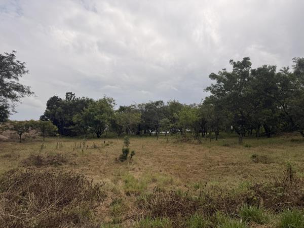 1 282 m² Land