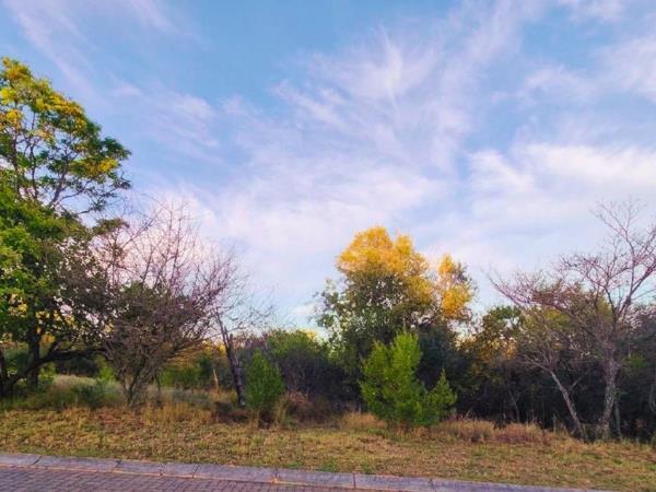 1 225 m² Land