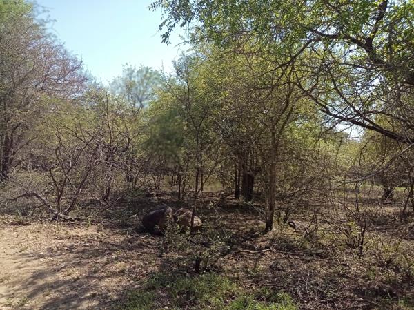 200 m² Land