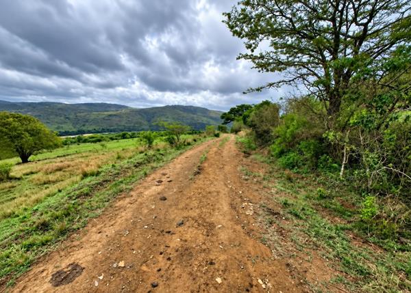 290 ha Farm