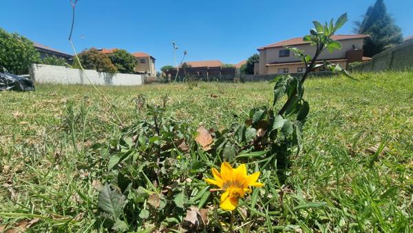 580 m² Land