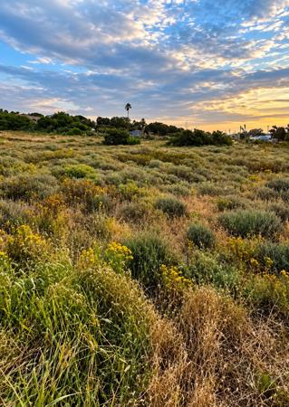 753 m² Land