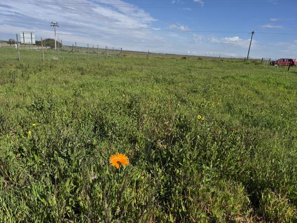 988 m² Land