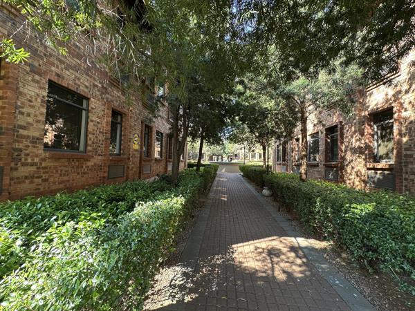 116.8 m² Commercial space