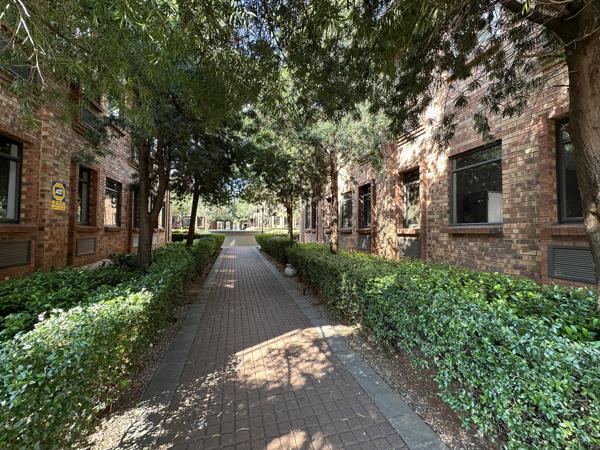 144.8 m² Commercial space