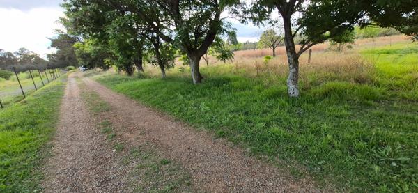 4 ha Smallholding