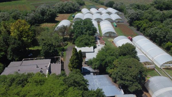 23 ha Commercial Farm