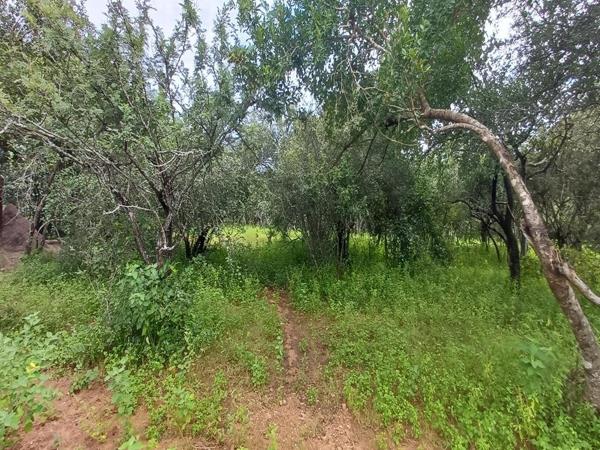 1 530 m² Land