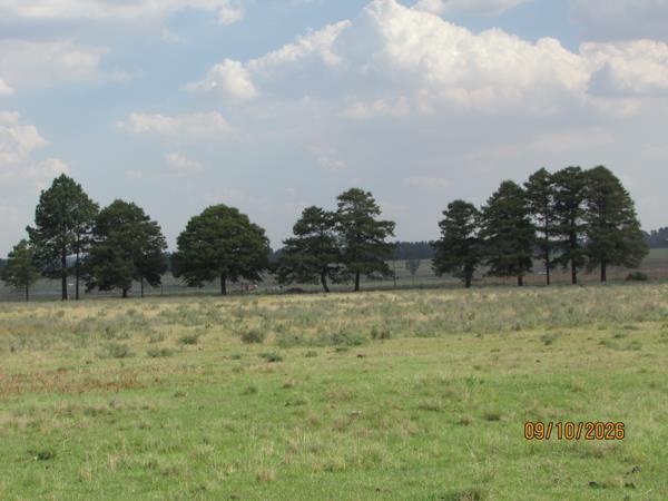 39.8 ha Farm