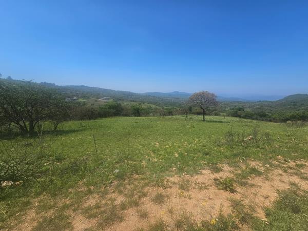 1.6 ha Land