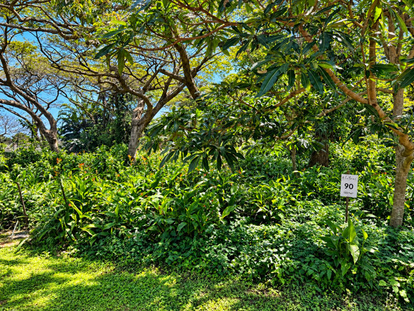 1 337 m² Land