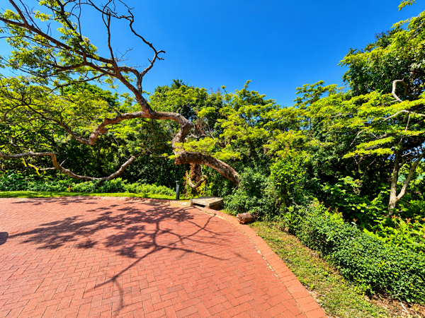 1 323 m² Land