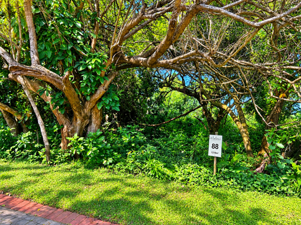 1 218 m² Land