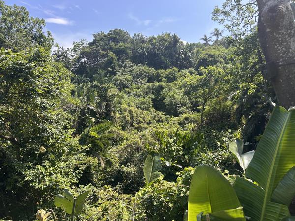 8 022 m² Land