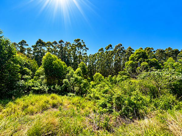 1 000 m² Land