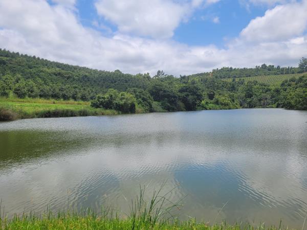 500 ha Farm