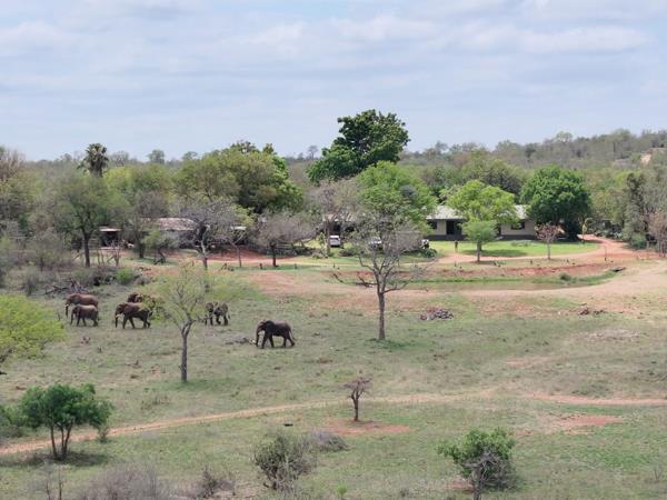 Game Farm