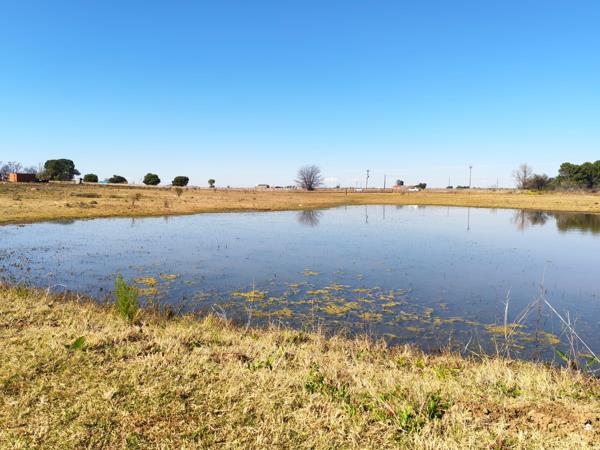 5.3 ha Land