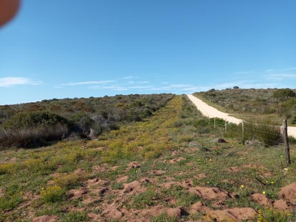 441 ha Farm