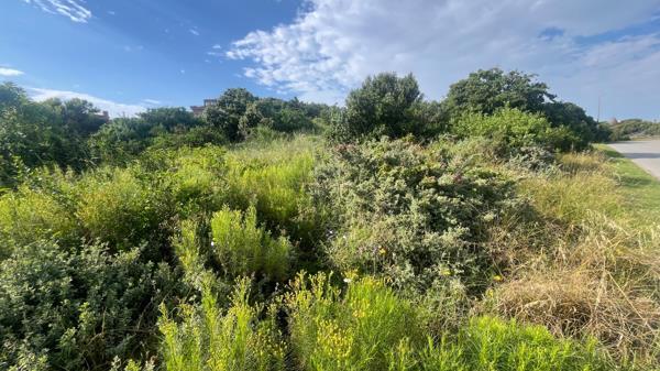 725 m² Land