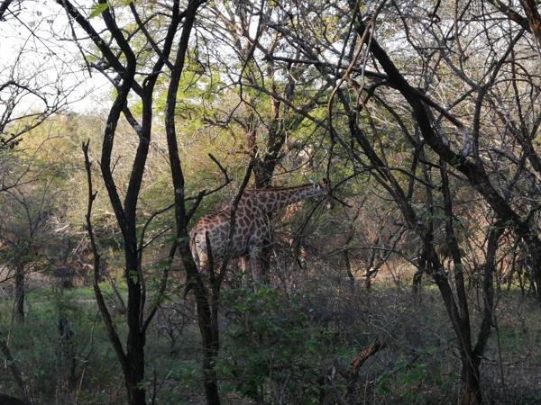 2 270 m² Land