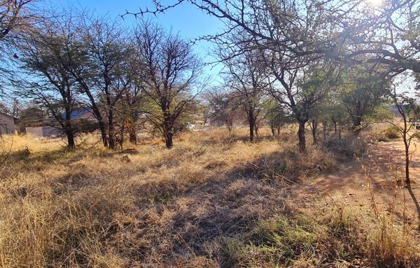 1 155 m² Land
