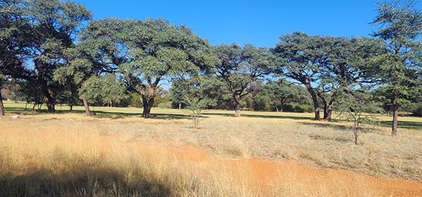 1 041 m² Land